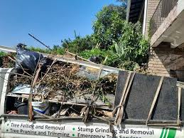 Same-Day Junk Removal Services in Mansfield, LA